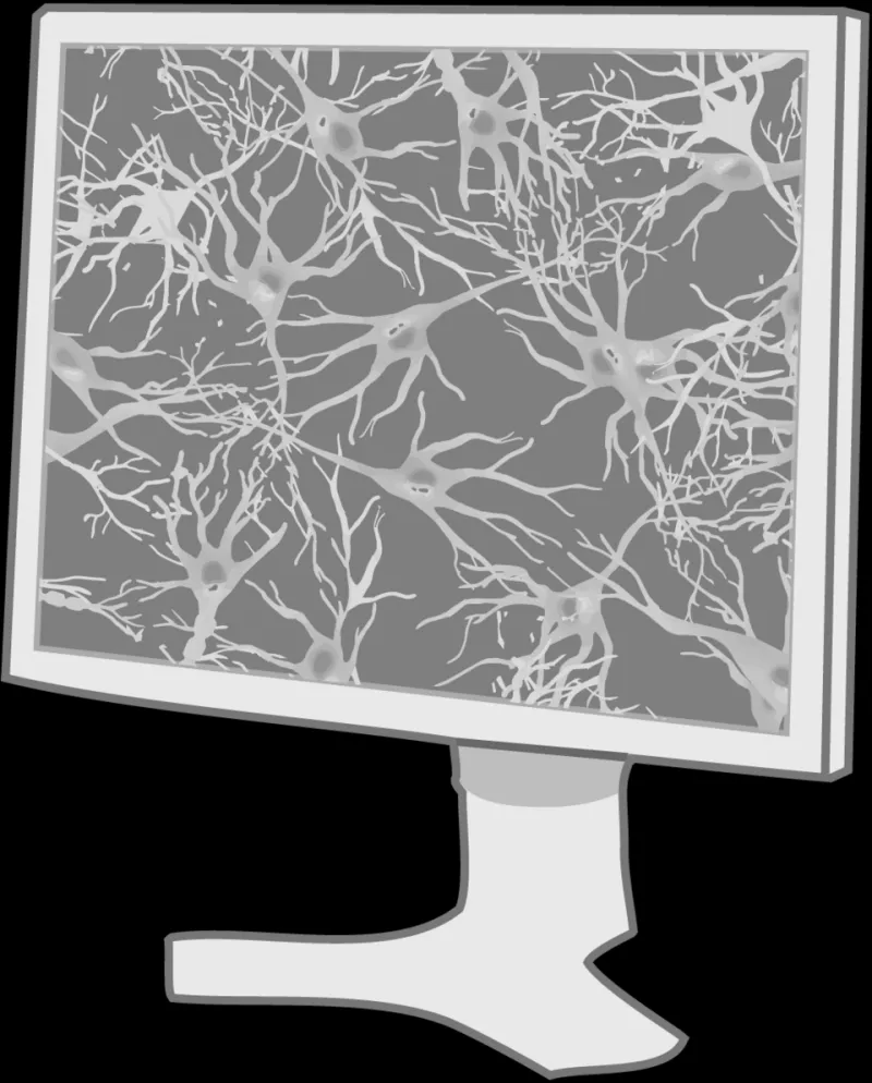 Broken Addresses, Vanishing Histories: The Slow Erasure Written Into Every Dead Link