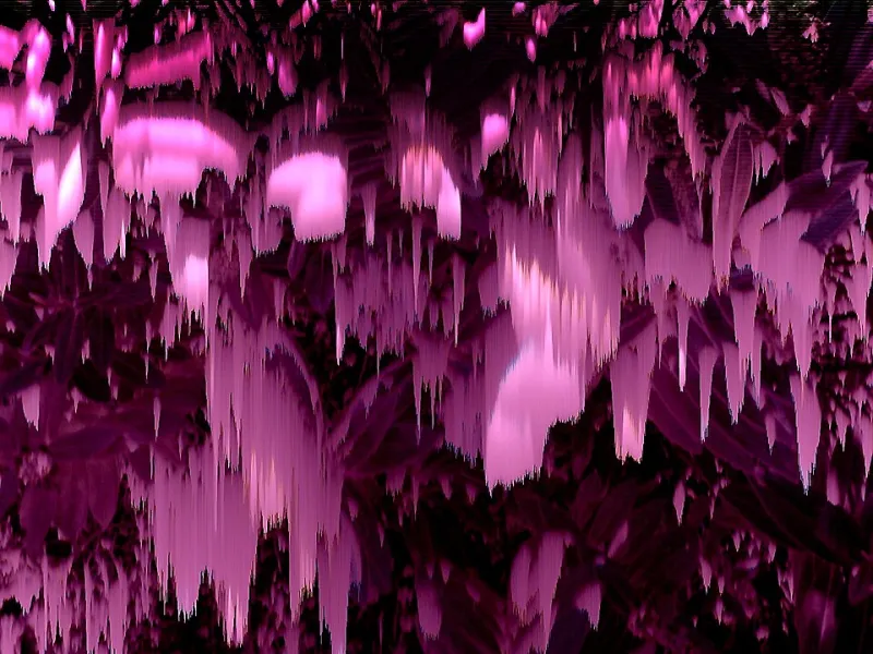 The Glitch Speaks: Meaning Encoded in Digital Malfunction